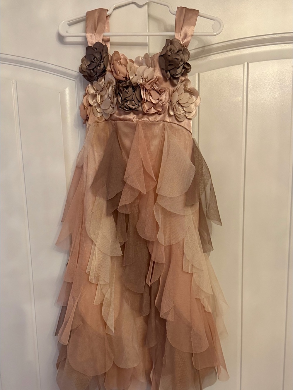 Girls Biscotti Layered Floral Party Dress